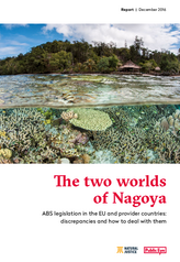 The two worlds of Nagoya