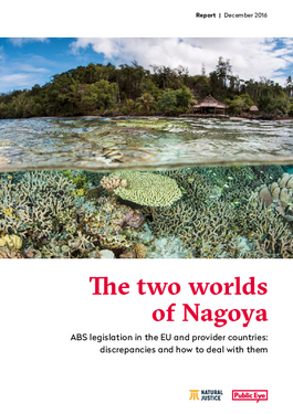 Couverture du rapport: The two worlds of Nagoya