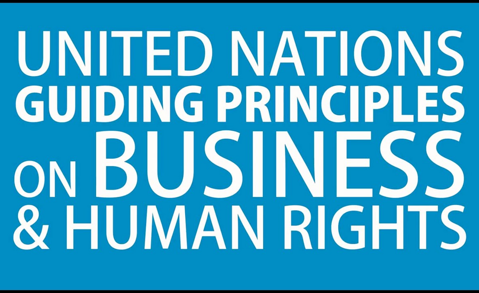 The UN Guiding Principles on Business and Human Rights: An Introduction