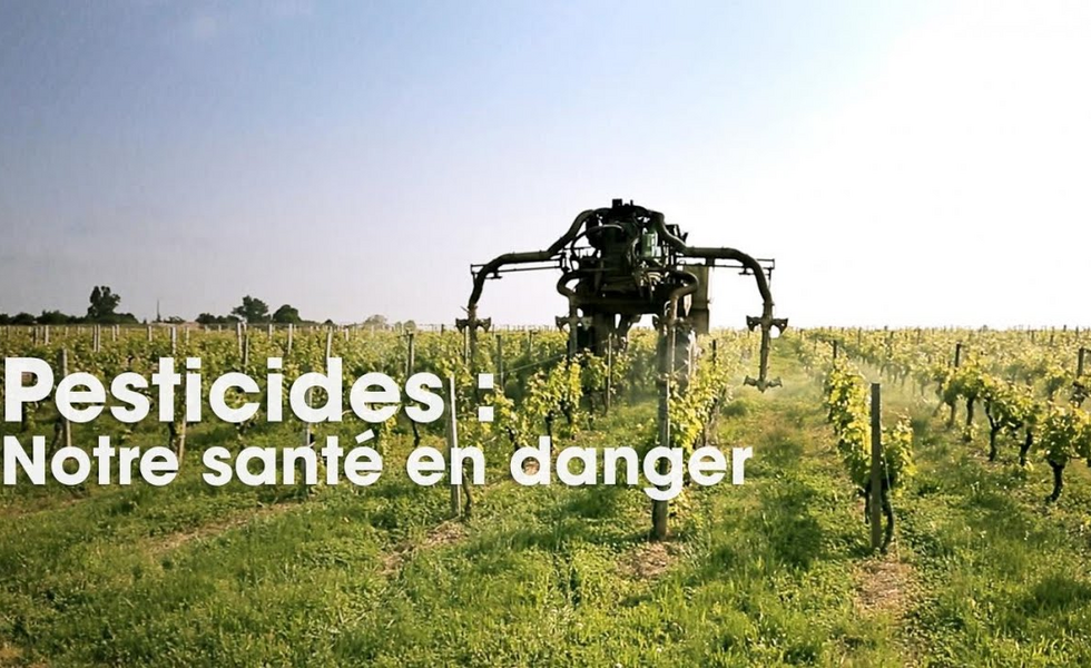 Cash Impact - Pesticides : notre santé en danger (Intégrale)