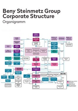 Cover page: Organizational Chart of the Beny Steinmetz Group