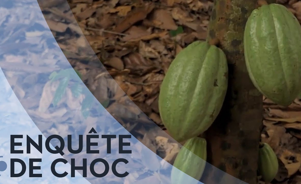 Le cacao illégal de Nestlé