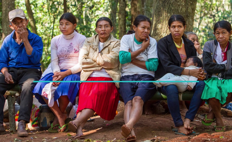 Stevia: ein fairer Deal für die Guarani