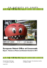 European Patent Office at Crossroads