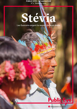 Couverture du rapport: Stévia: les Guaranis revendiquent leurs droits