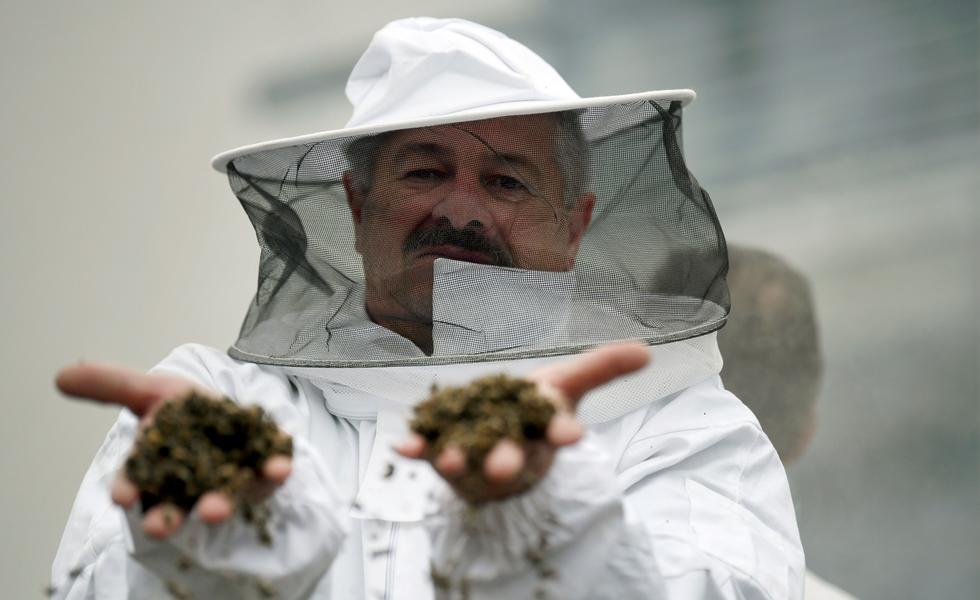 Syngenta exporte des milliers de tonnes de pesticides « tueurs d’abeilles » depuis l’Union européenne