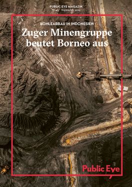 Titelbild Zuger Minengruppe beutet Borneo aus