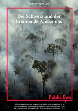 Titelbild Die Schweiz und der brennende Amazonas