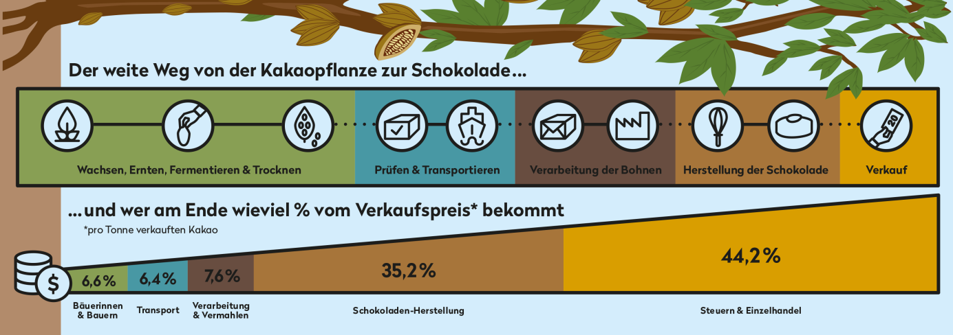 Der weite Weg von der Kakaopflanze zur Schokolade